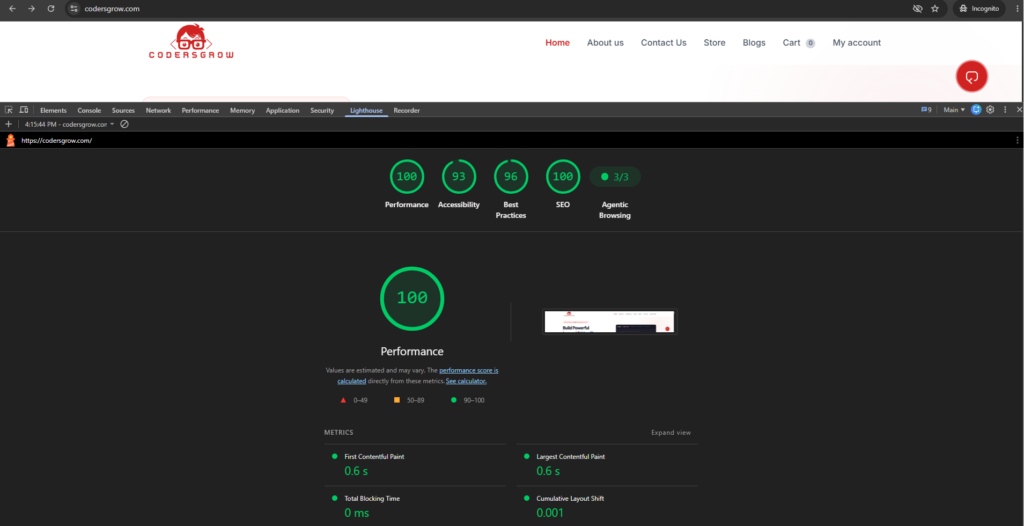 Website speed optimization dashboard showing a 100 out of 100 Lighthouse performance score