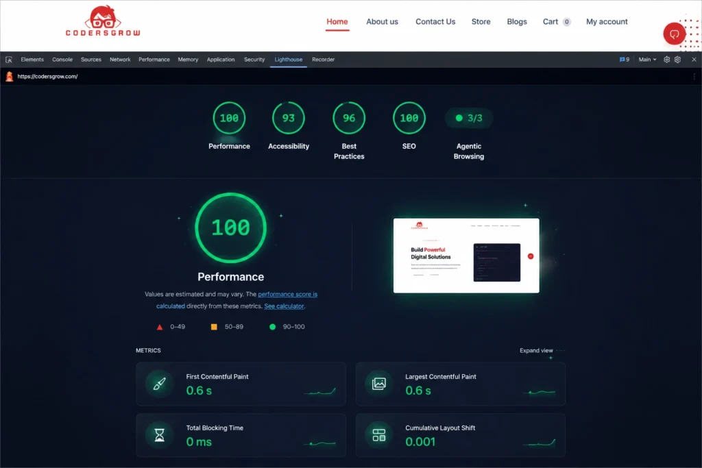 Website speed optimization dashboard showing a 100 out of 100 Lighthouse performance score